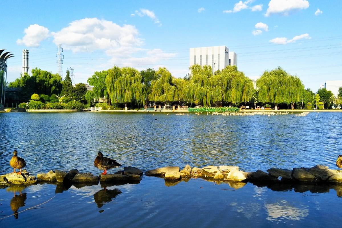 Beijing World Flower Garden