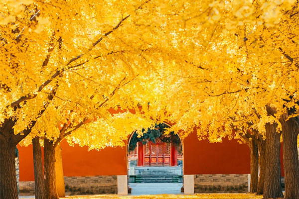 Beijing Zhongshan Park