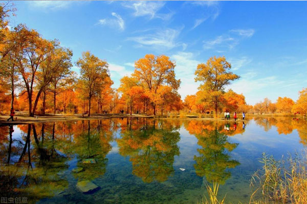 Ejina Populus Euphratica Forest Scenic Area