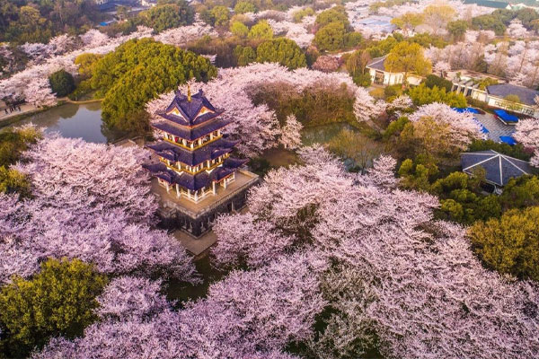 Taihu Yuantouzhu Scenic Area