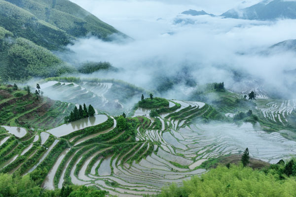 Yunhe Terraces Scenic Area