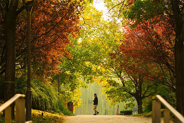Beijing Yuan Dynasty Capital City Wall Ruins Park