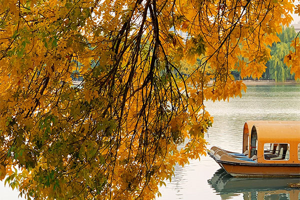 Beijing Yuyuantan Park