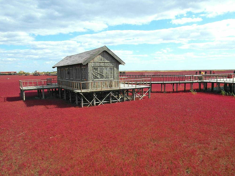 The Red Beach Scenic Corridor