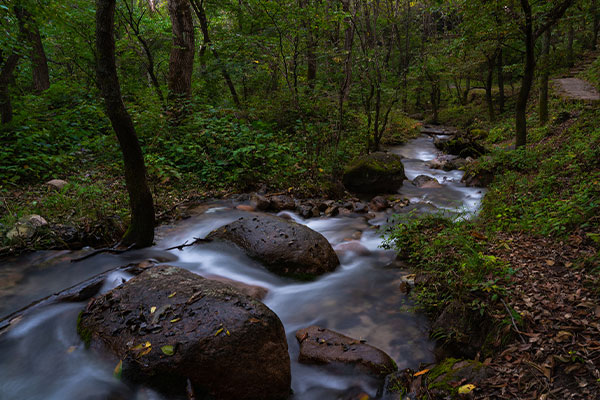 Beijing Songshan Forest Tourist Area