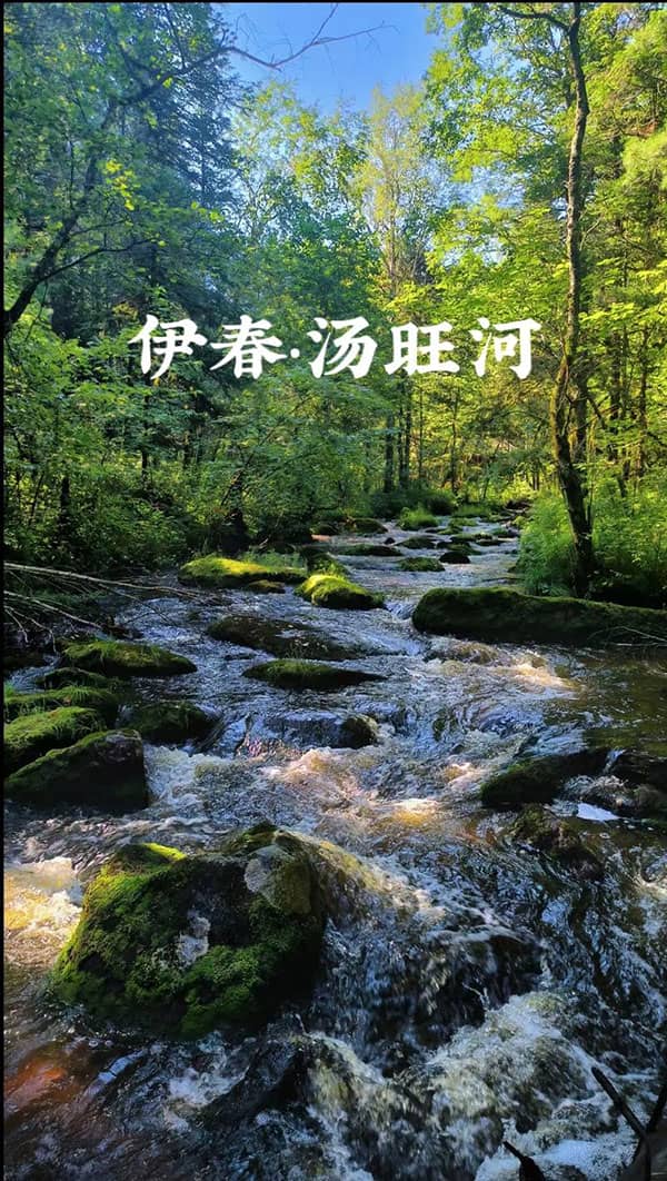 The Tangwang River Stone Forest Scenic Area