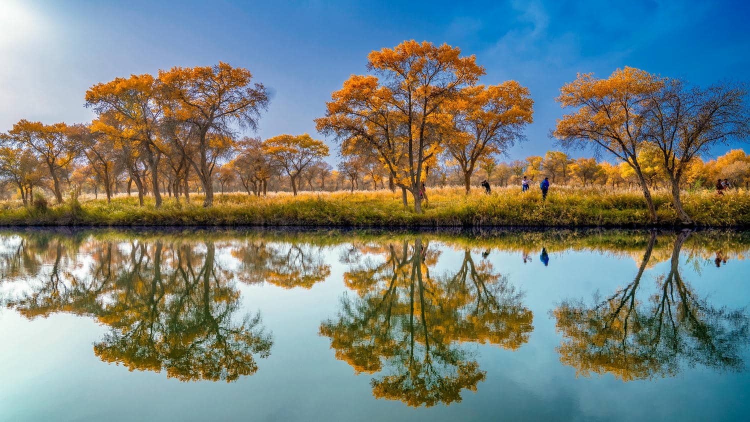 Zepu Jinhuyang Scenic Area