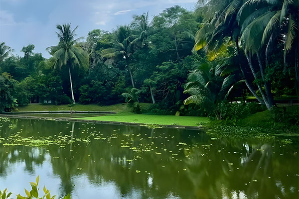 Xinglong Tropical Botanical Garden
