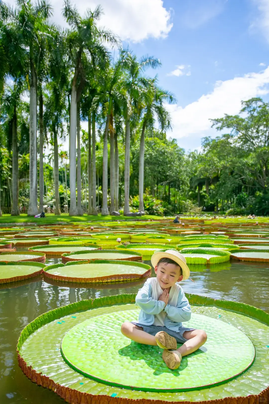 Xishuangbanna Tropical Botanical Garden of Chinese Academy of Sciences