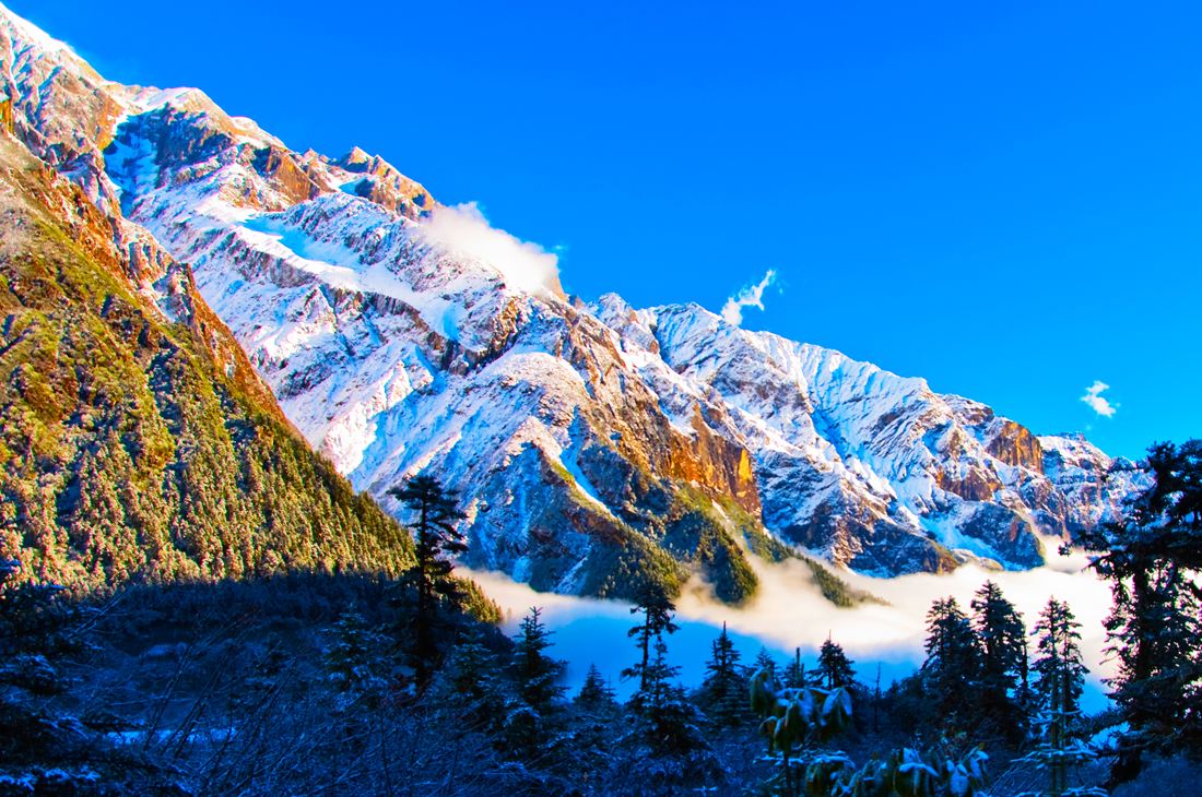 Hailuogou Glacier Forest Park