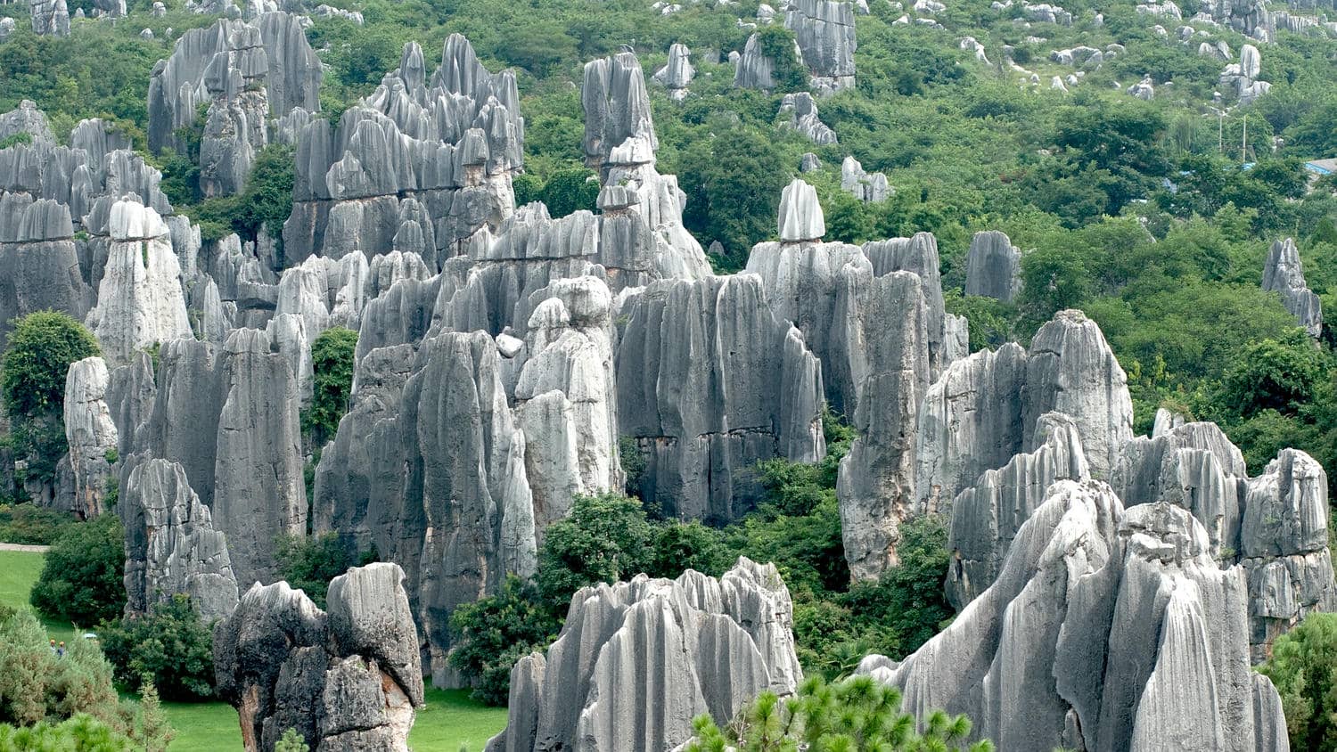 Stone Forest Scenic Area