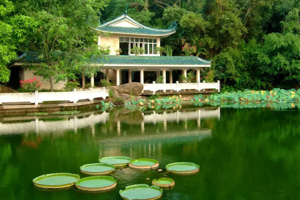 The Xiamen Botanical Garden
