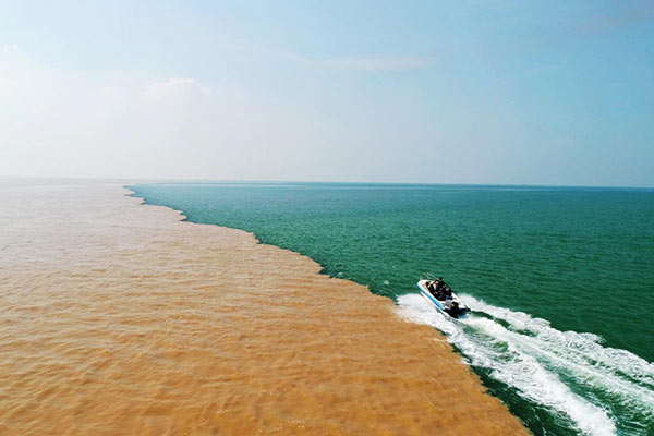 The Yellow River Estuary Ecological Tourism Area