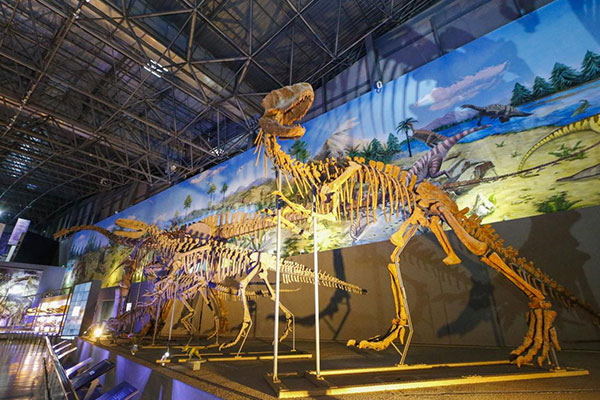 Xixia Funiu Mountain Laojieling · Dinosaur Relic Park Scenic Area
