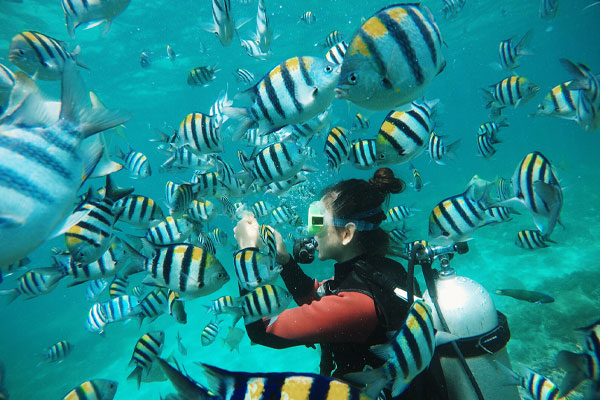 Wuzhizhou Island Tourism Area