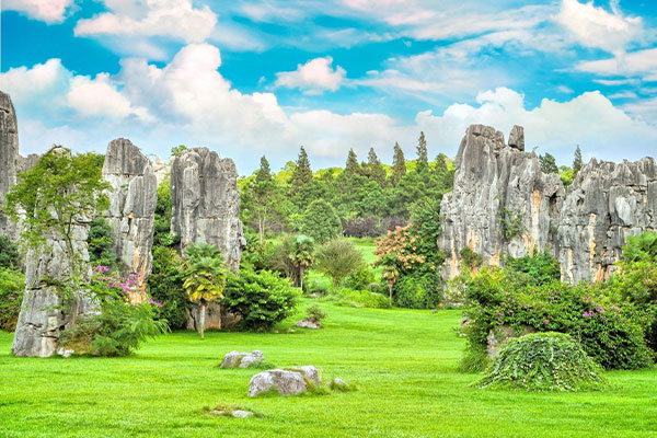 Stone Forest Scenic Area