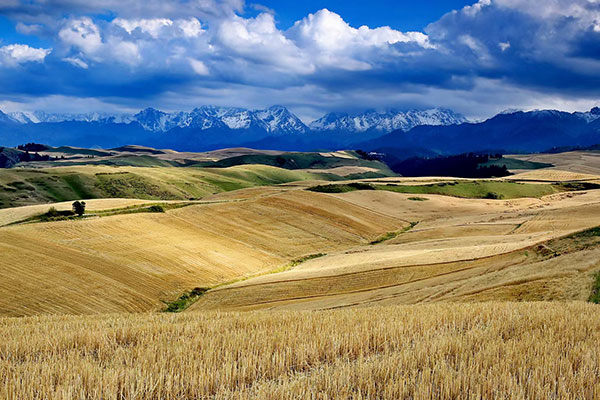 Jiangbulake Scenic Area
