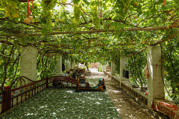 Grape Valley Scenic Area