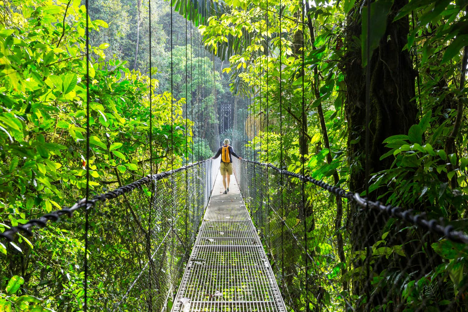 Yanoda Rainforest Cultural Tourism Area