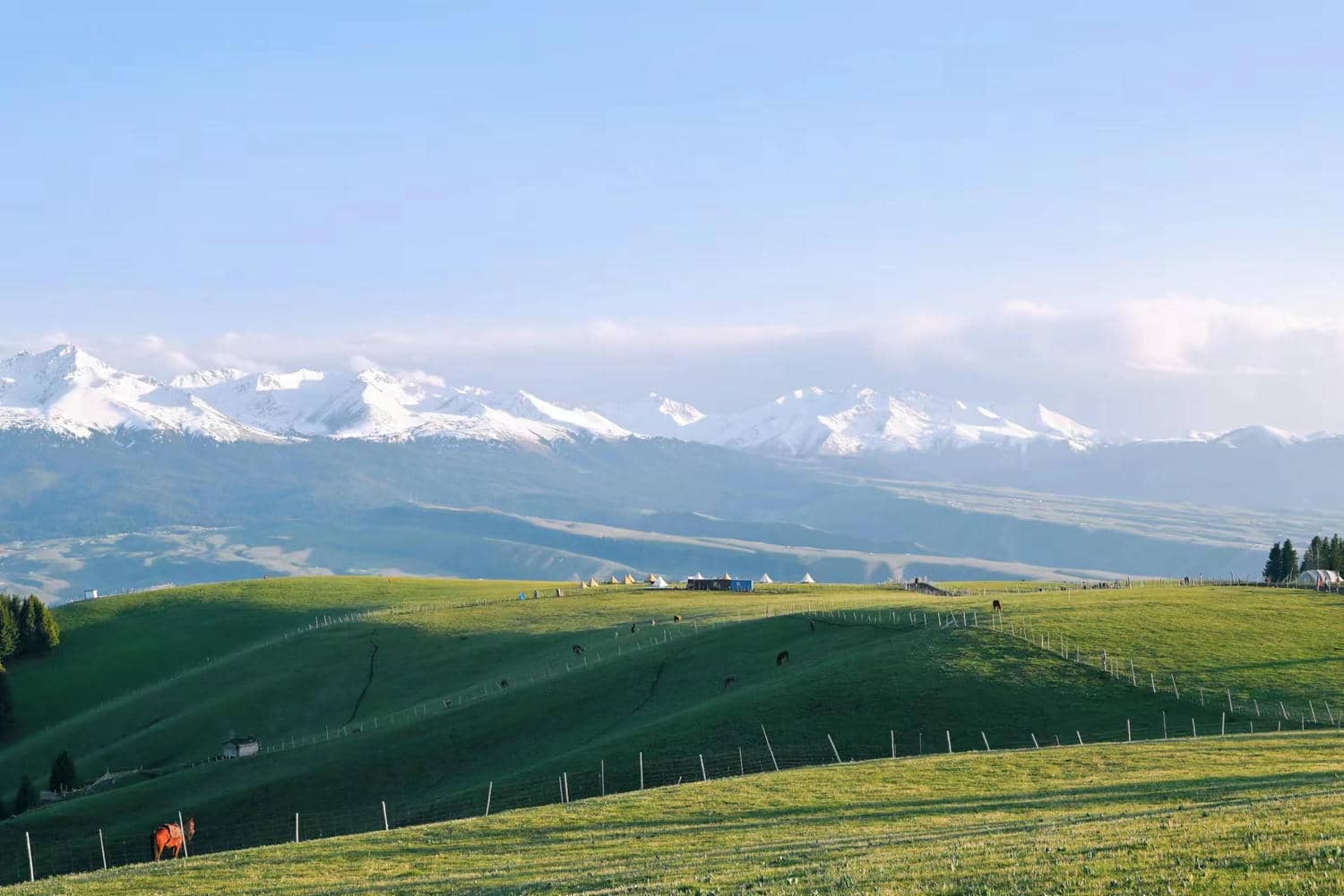 Kalajun Grassland Scenic Area