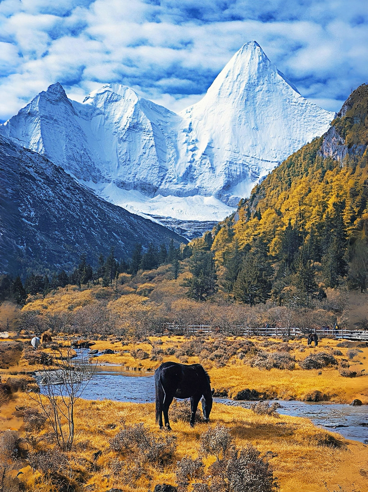 Daocheng Yading Scenic Area