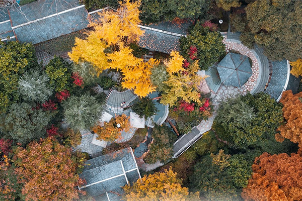 Wudang Poly International Hot Spring