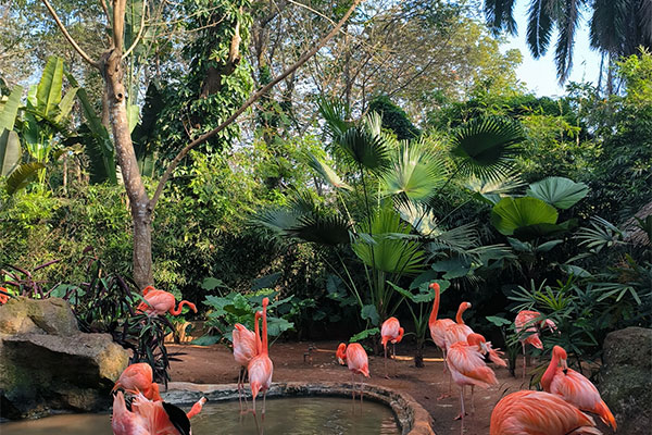 Hainan Tropical Wildlife Park