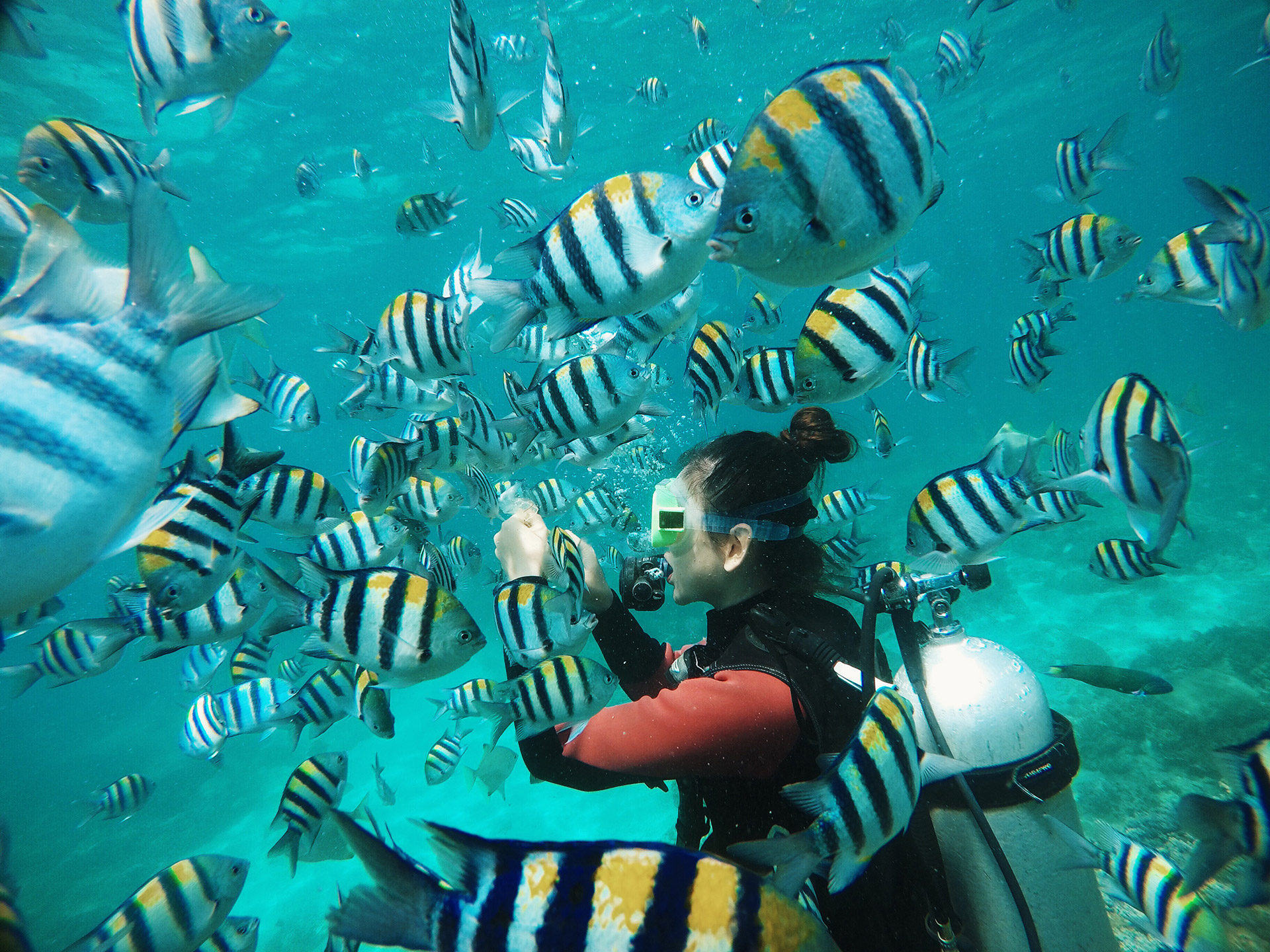 Wuzhizhou Island Tourism Area