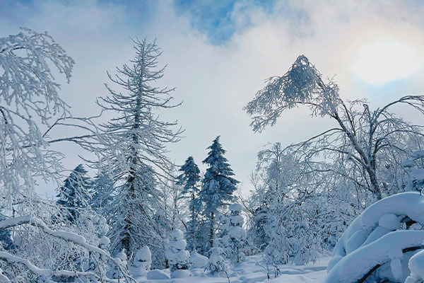 Beida Lake Ski Resort