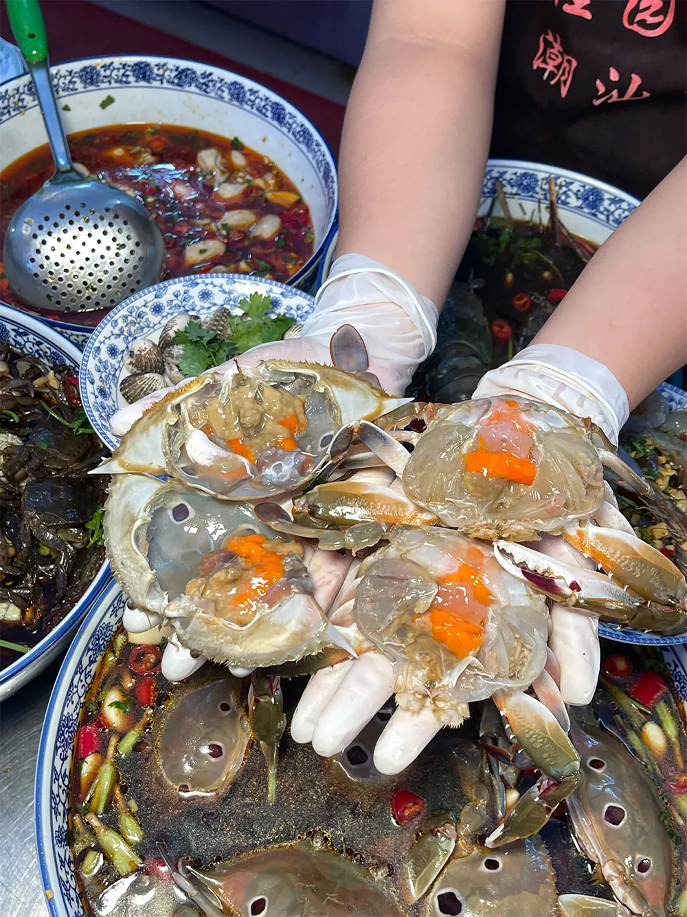 Chaoshan Pickled Seafood