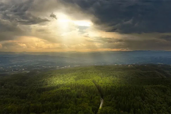 Bijie National Forest Park Gonglongping Scenic Area