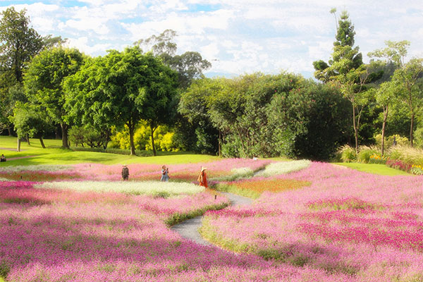 Xiamen Botanical Garden