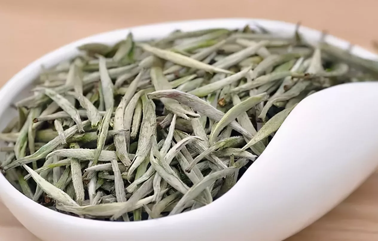 Baihao Yinzhen (White Hair Silver Needle)