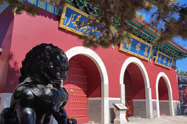 Ten Thousand Buddhas Garden