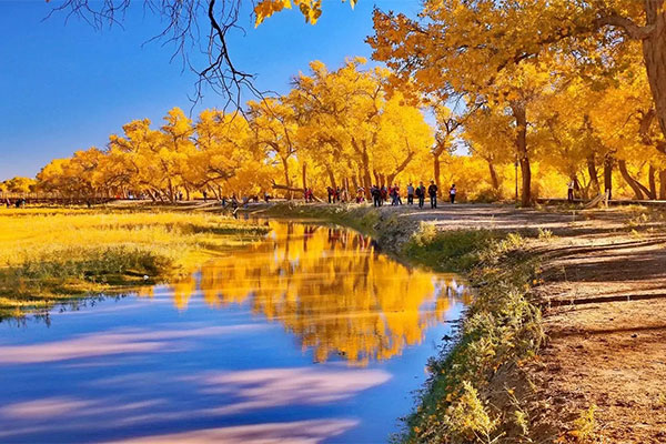 Desert Poplar Scenic Area