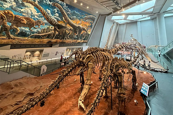 Chongqing Natural History Museu