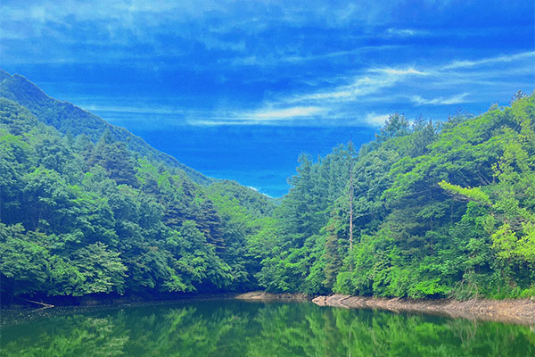 Baiyun Mountain National Forest Park