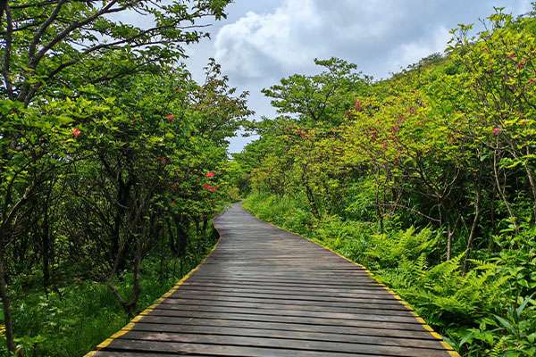 Daweishan National Forest Park