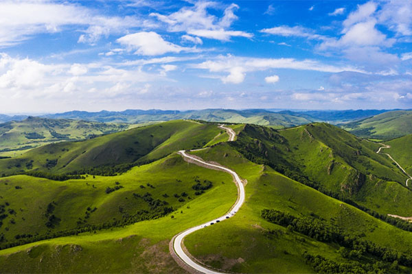 Hebei Fengning Jingbei First Grassland