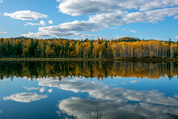 Tangwang River Forest Sea and Strange Rock Scenic Area