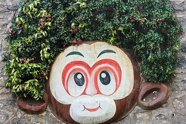 Wulongkou Scenic Area