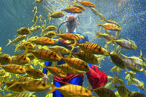 Beihai Underwater World