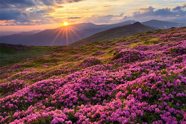 Hongping in Shennongjia