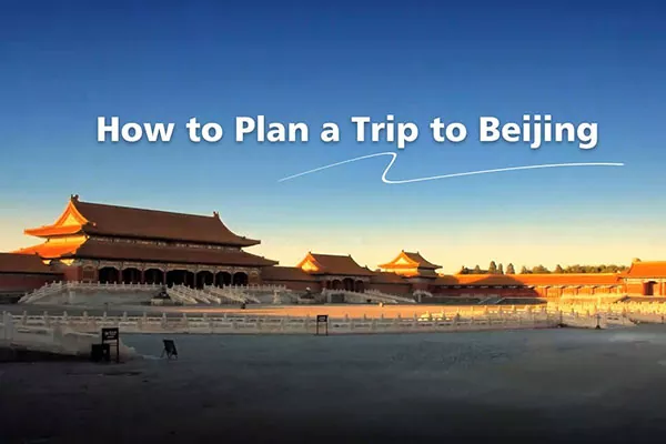 A Practical Guide to Exploring Beijing: DIY vs. Travel Agency Options